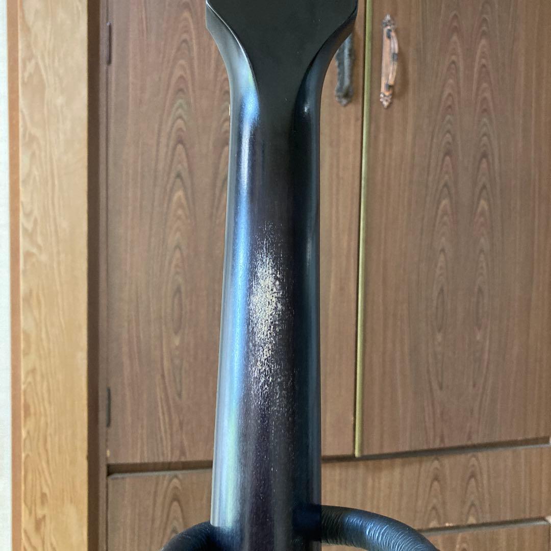 ギター Gibson Les Paul Special Tribute DC 2019