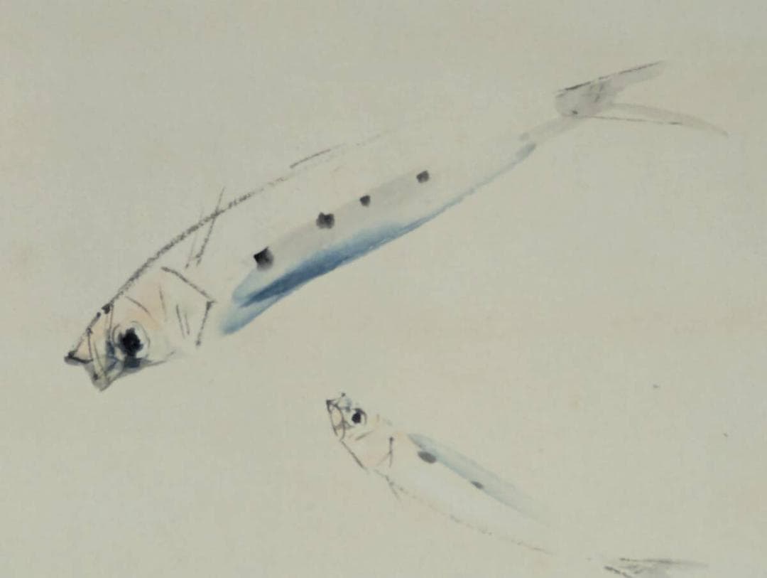 【真作】掛軸　竹内栖鳳　いわし　静かな水中の詩情　二重箱入（極箱）　S178