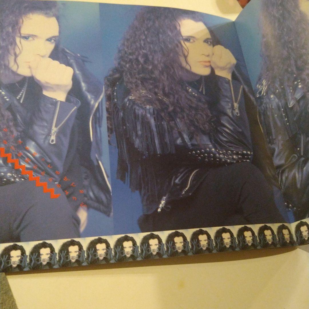 今だけ値下げ★デッド・オア・アライブ　コンサートパンフレット