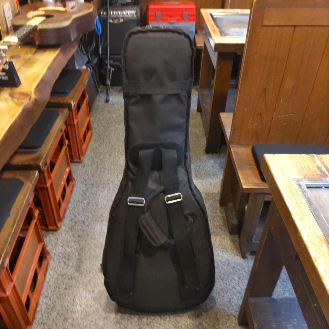 YAMAHA FSX755SC エレアコ (管理カテ)