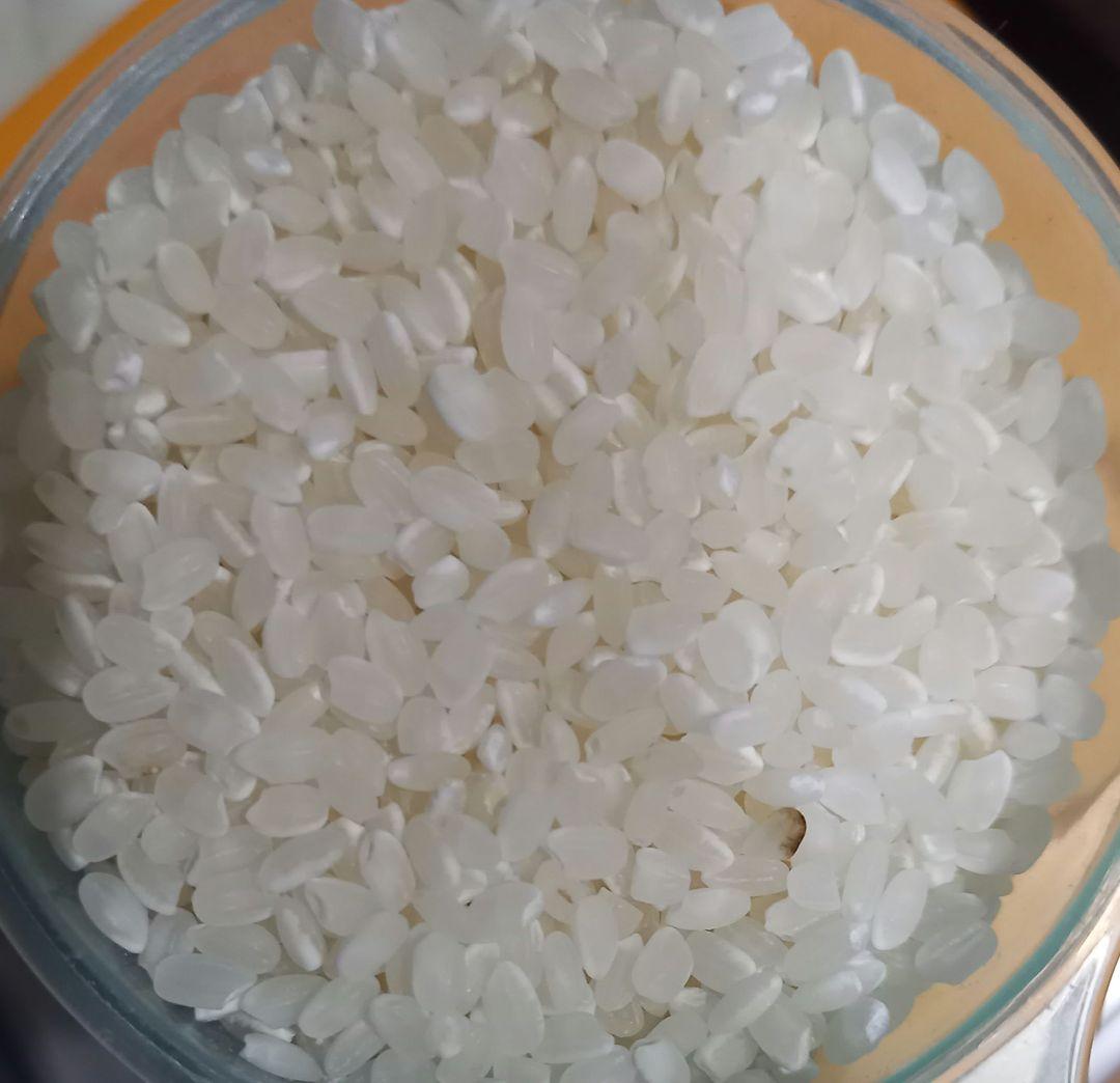 令和7年 茨城県産 コシヒカリ精米済20kg