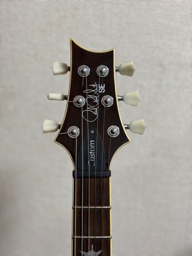 PRS SE Custom24 Ziricote Top 限定モデル