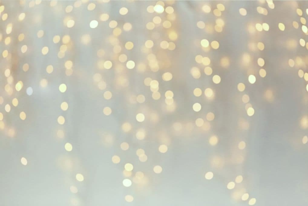 背景布【　ぼかしH　】サンプル　バレンタイン撮影用♪　トリミングチョーカー販売中