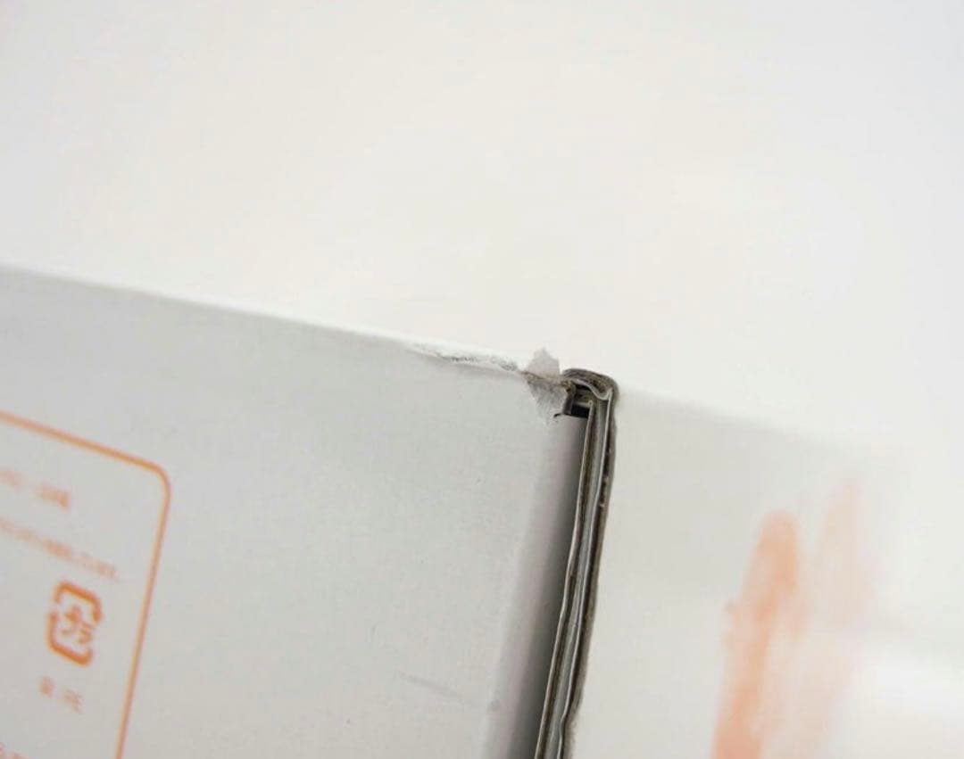 アクションフィギュアコレクション マクロスF ランカ・リー