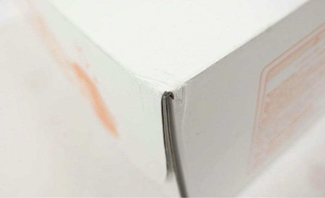 アクションフィギュアコレクション マクロスF ランカ・リー