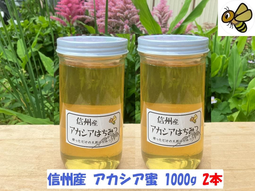【再出】アカシア蜂蜜 1000g 2本 長野県産 国産蜂蜜 生蜂蜜 西洋蜜蜂a