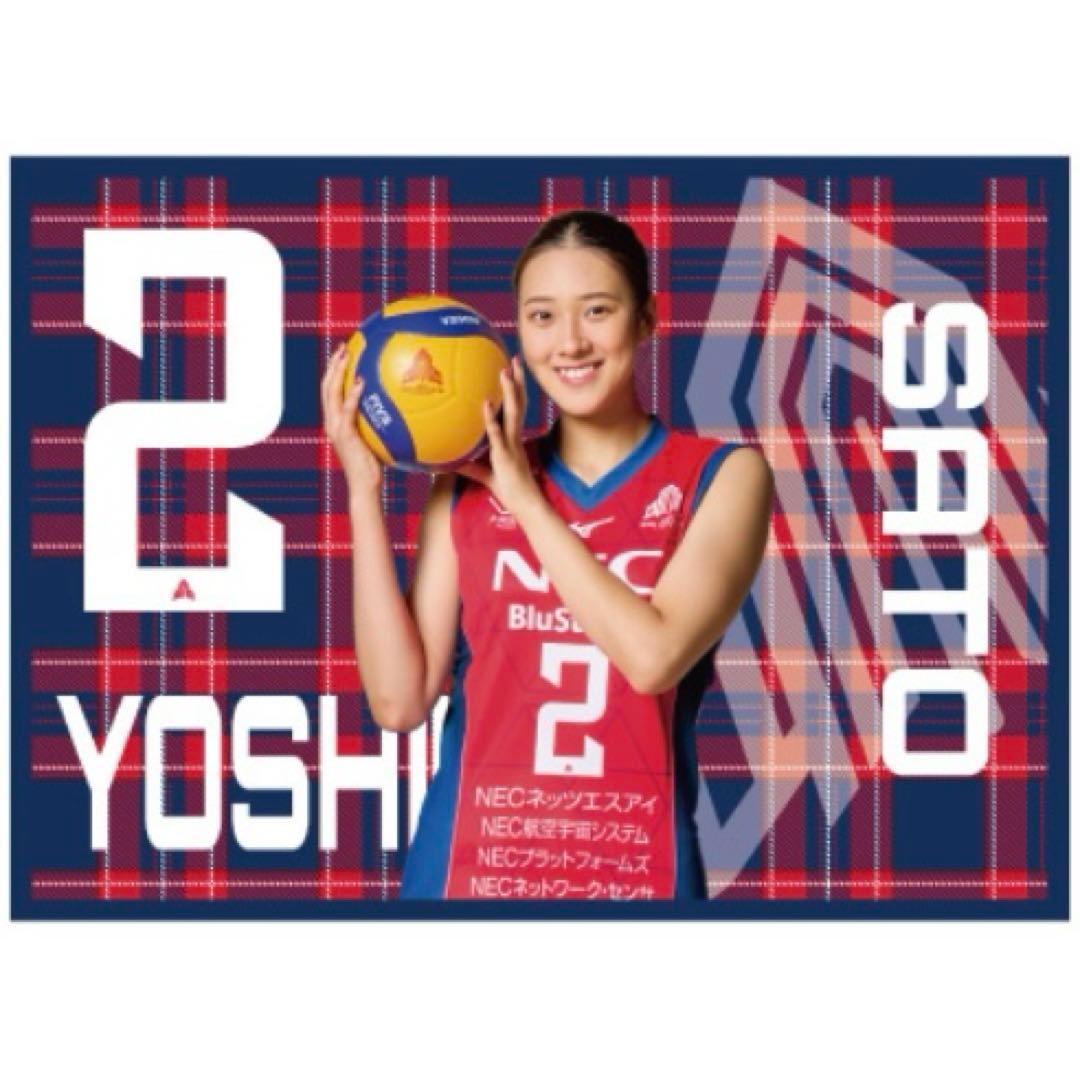 【NEW】NECレッドロケッツ川崎　プレイヤーズブランケット