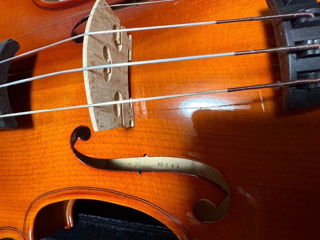【極美品】バイオリン カルロ・ジョルダーノ VS-1 4/4