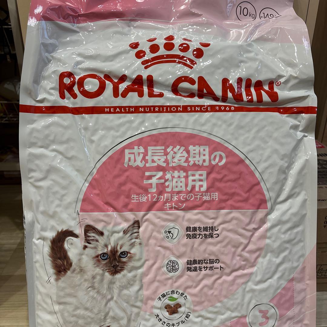  CANIN 子猫用成長後期 ドライフード 10kg