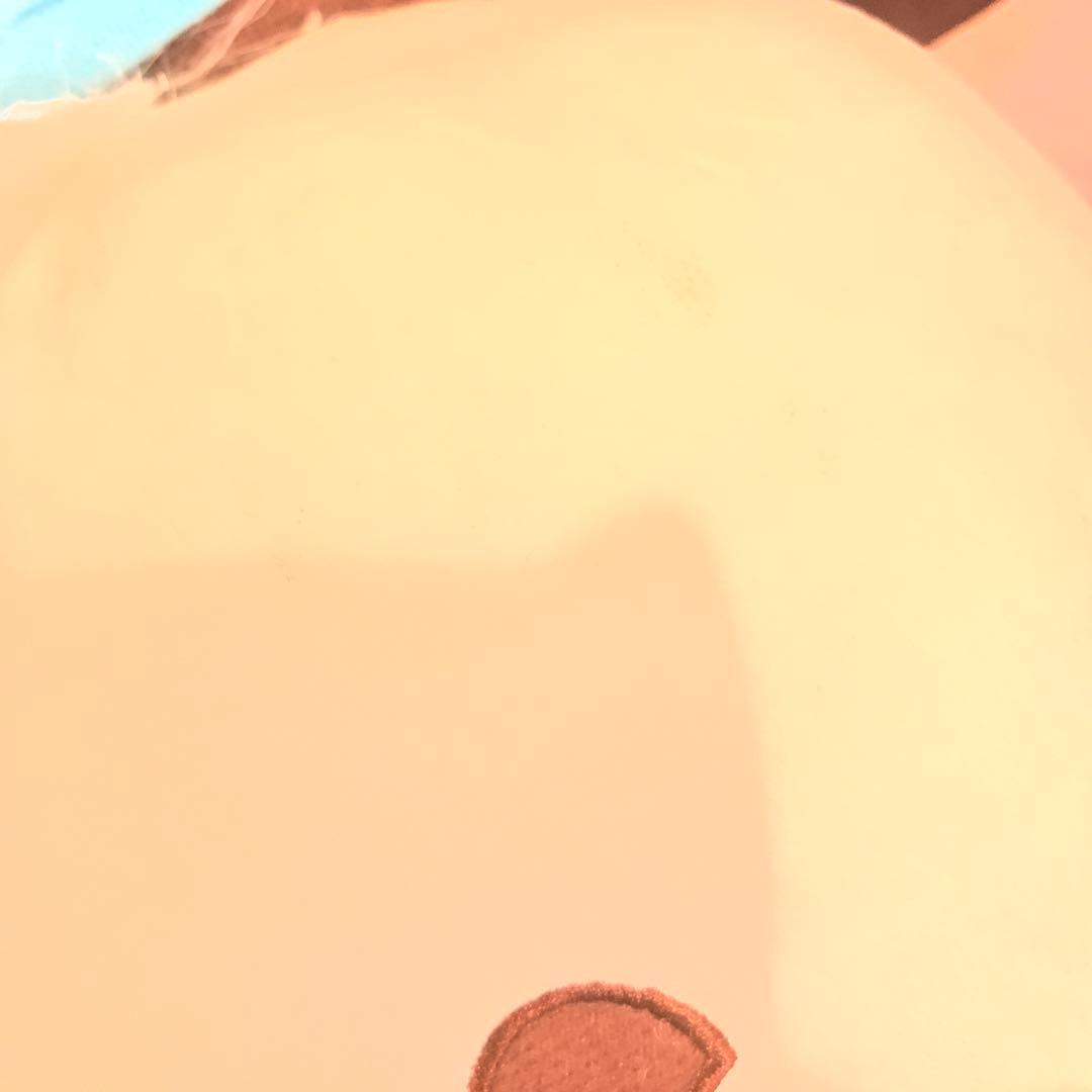 ディズニー ドナルドダック ぬいぐるみ