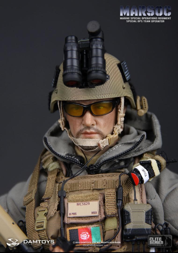 DAMTOYS製 Marsoc 1/6（約30cm）サイズのアクションフィギュア
