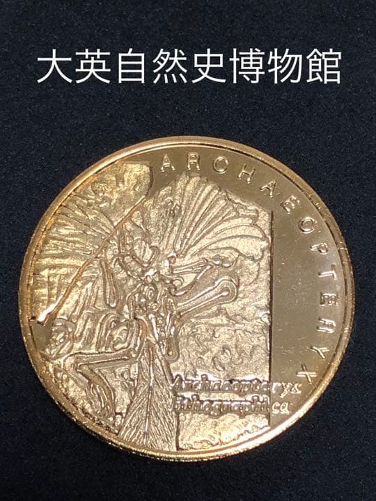 大英自然史博物館展★化石☆記念メダル★茶平工業