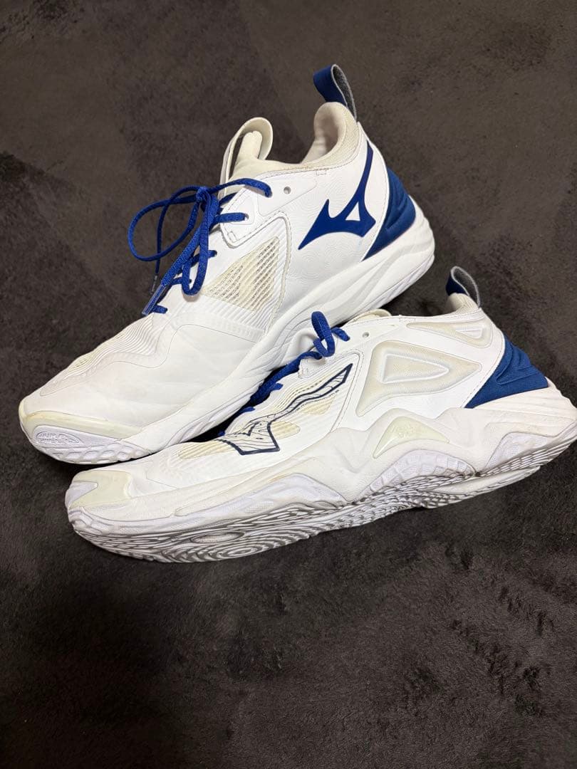 Mizuno ウェイブモーメンタム3バレーボールシューズ