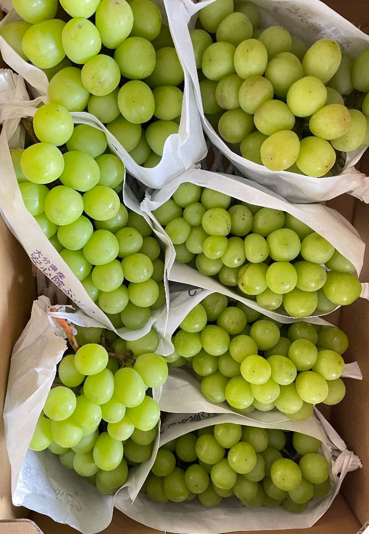 「専用」シャインマスカット10kg 2箱セット房入り 訳あり