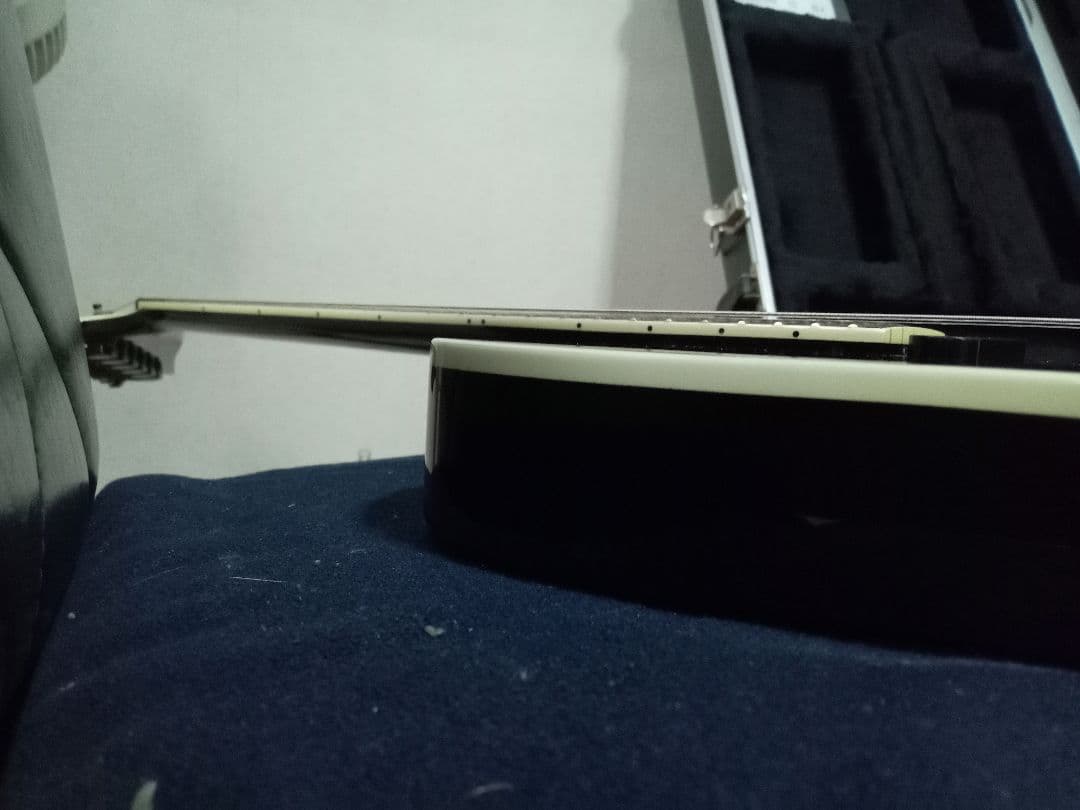 FERNANDES TEJ DELUXE 2S　純正ハードケース付き