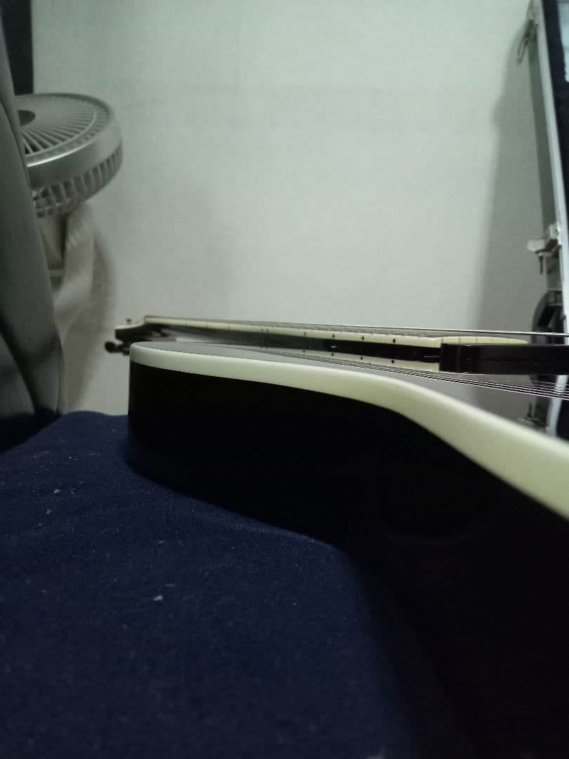 FERNANDES TEJ DELUXE 2S　純正ハードケース付き