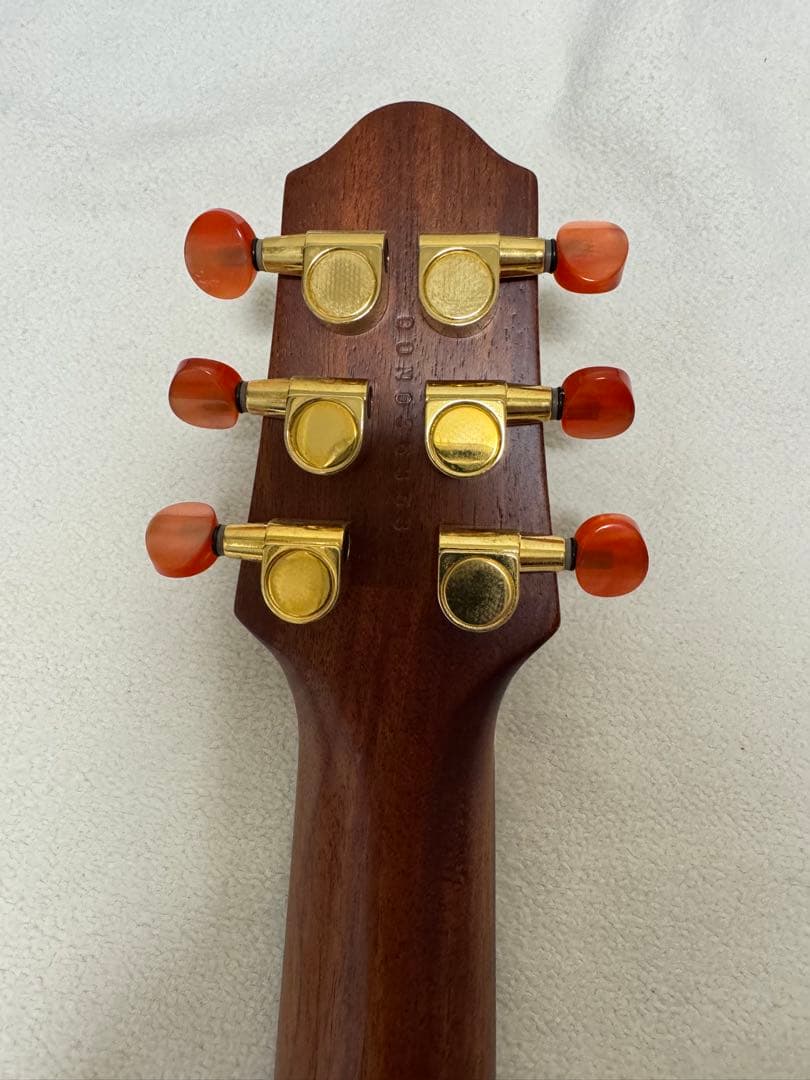 ギター YAMAHA SLG100S