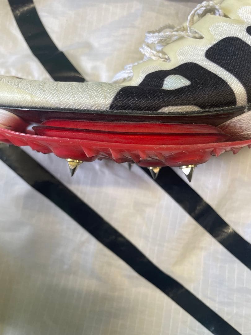 マックスフライ