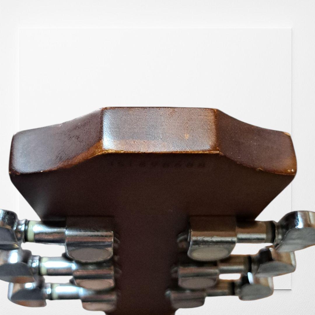 Chard Guitar　C3000　シリアルナンバー入り