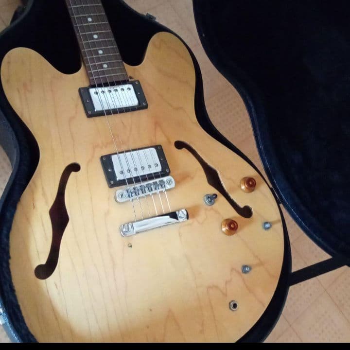 ギブソン エピフォン dot guaranteed