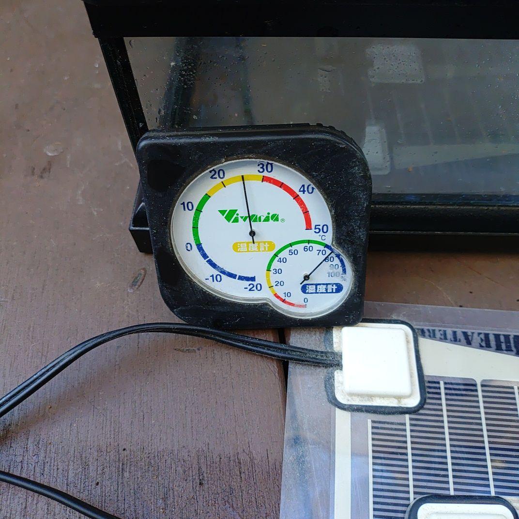 中型ガラス飼育ケージ + 加熱パネル