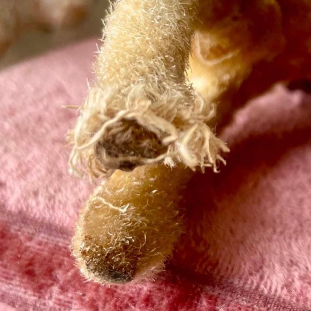 バンビぬいぐるみ3体セット　子鹿小鹿　　フランスアンティーク　ドイツヴィンテージ