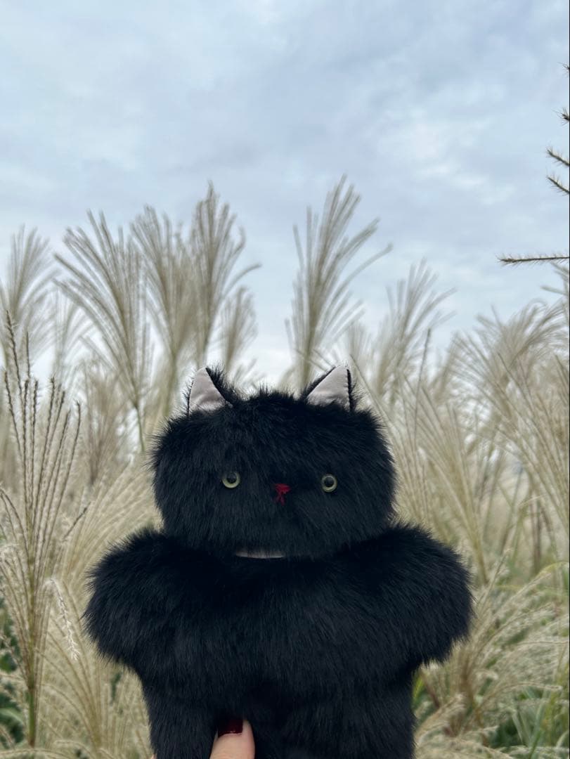 さて ハンドメイド ぬいぐるみ 黒猫