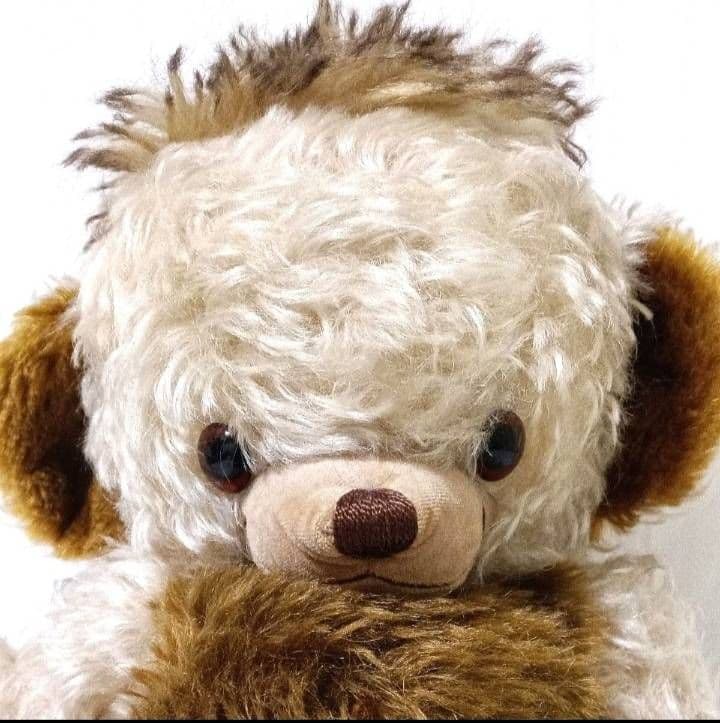 【希少】メリーソート アンセスターオブチーキークリームビーン 500体限定品