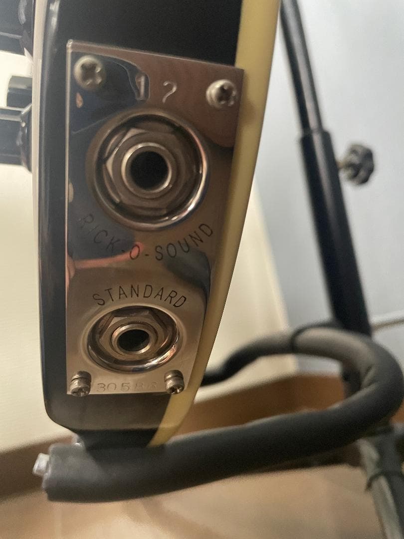 ギター Rickenbacker 360 JG