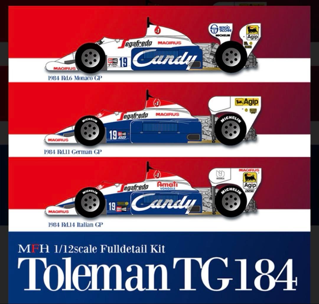 アイルトンセナ　トールマンTG184 フロントウィング実使用品　参考本付き