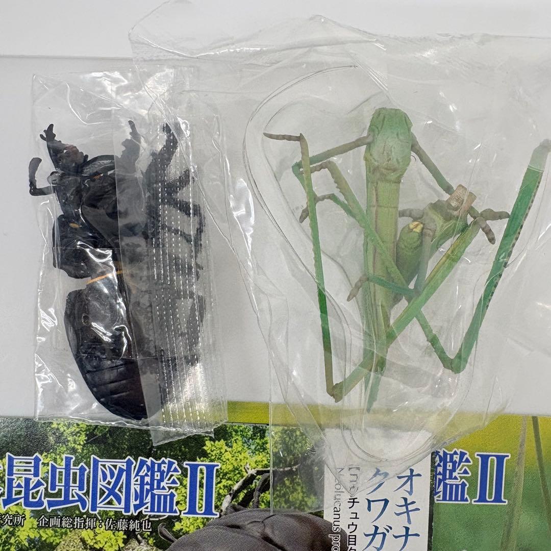 原色日本昆虫図鑑Ⅱ シークレット入りフルコン【未開封品】