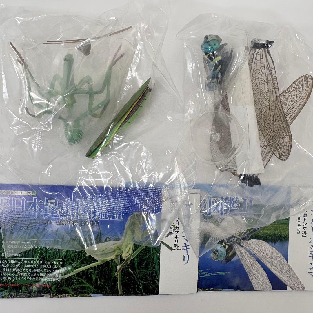 原色日本昆虫図鑑Ⅱ シークレット入りフルコン【未開封品】