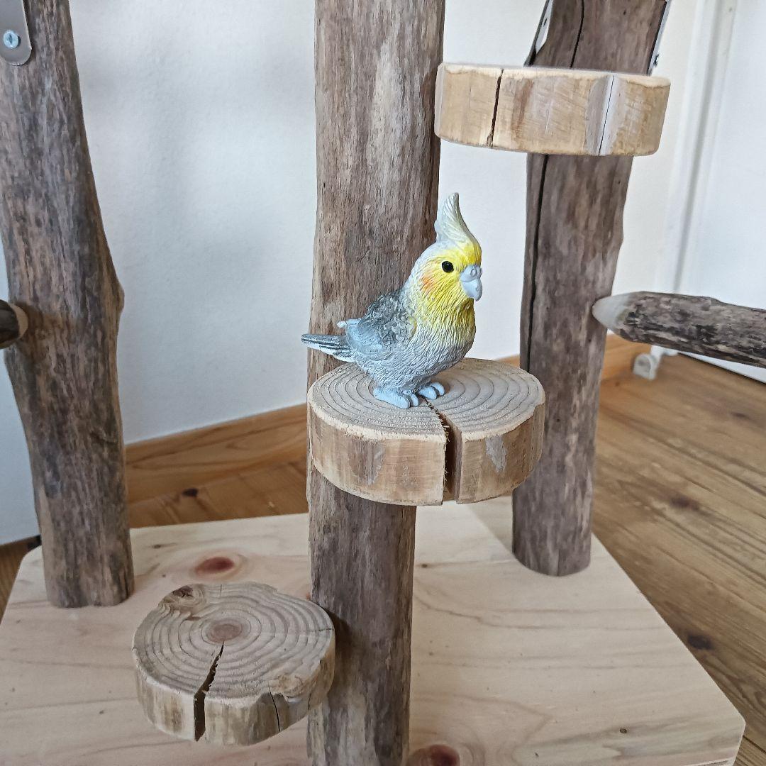 びぐ バードアスレチックジム大型 天然木 自然木 流木 インコ おもちゃ