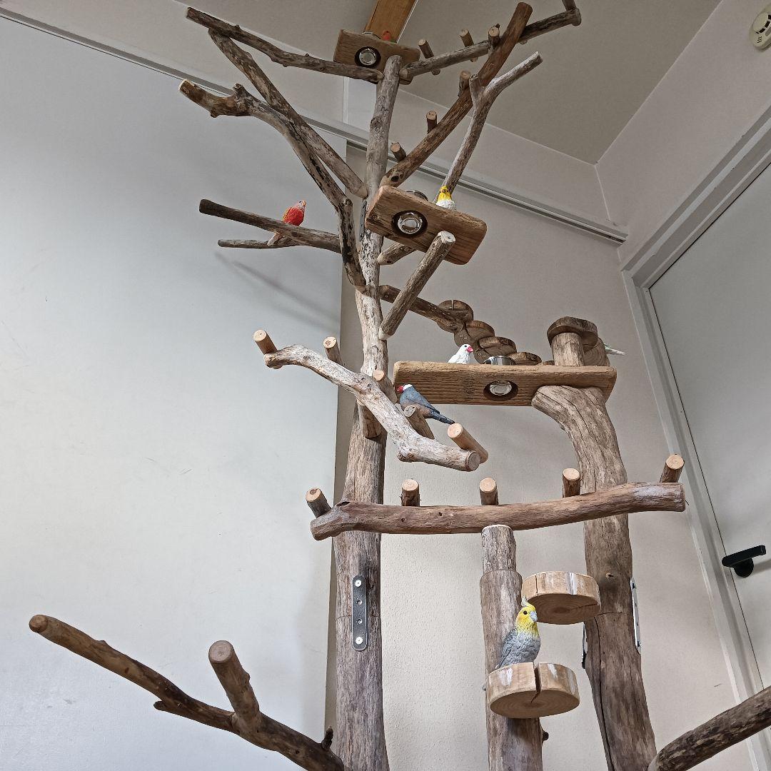 びぐ バードアスレチックジム大型 天然木 自然木 流木 インコ おもちゃ