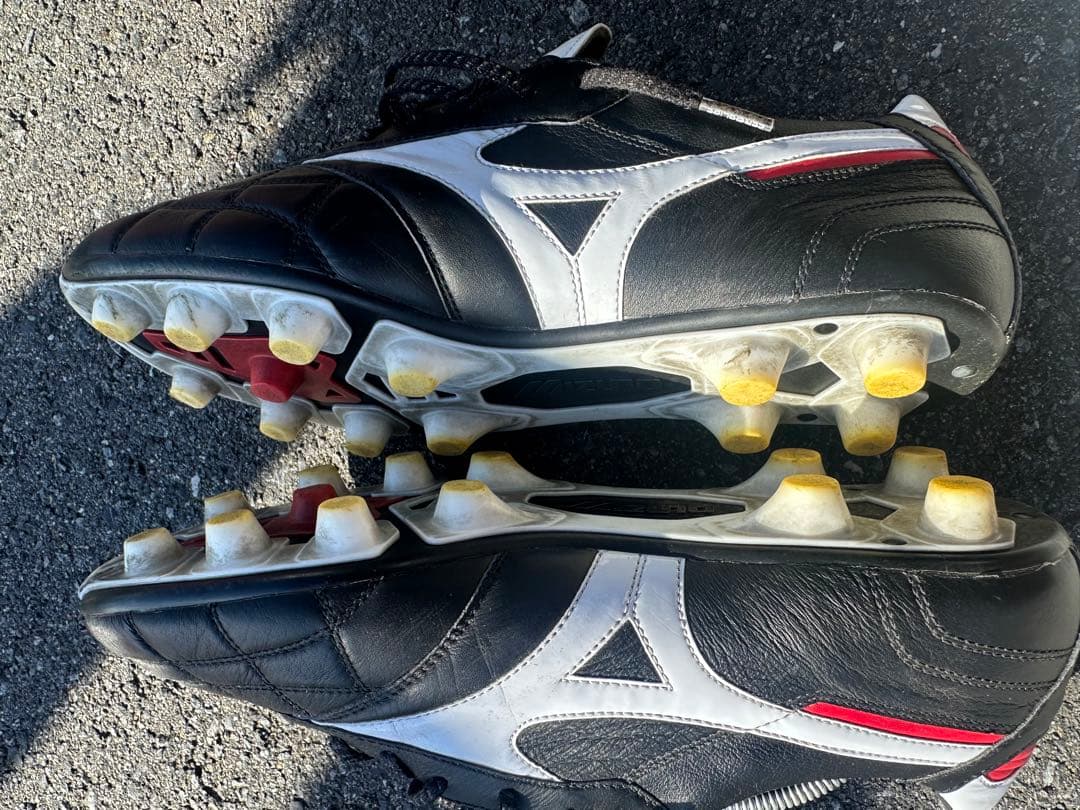 MOLERIA Ⅱ JAPAN 27cm クロスステッチ