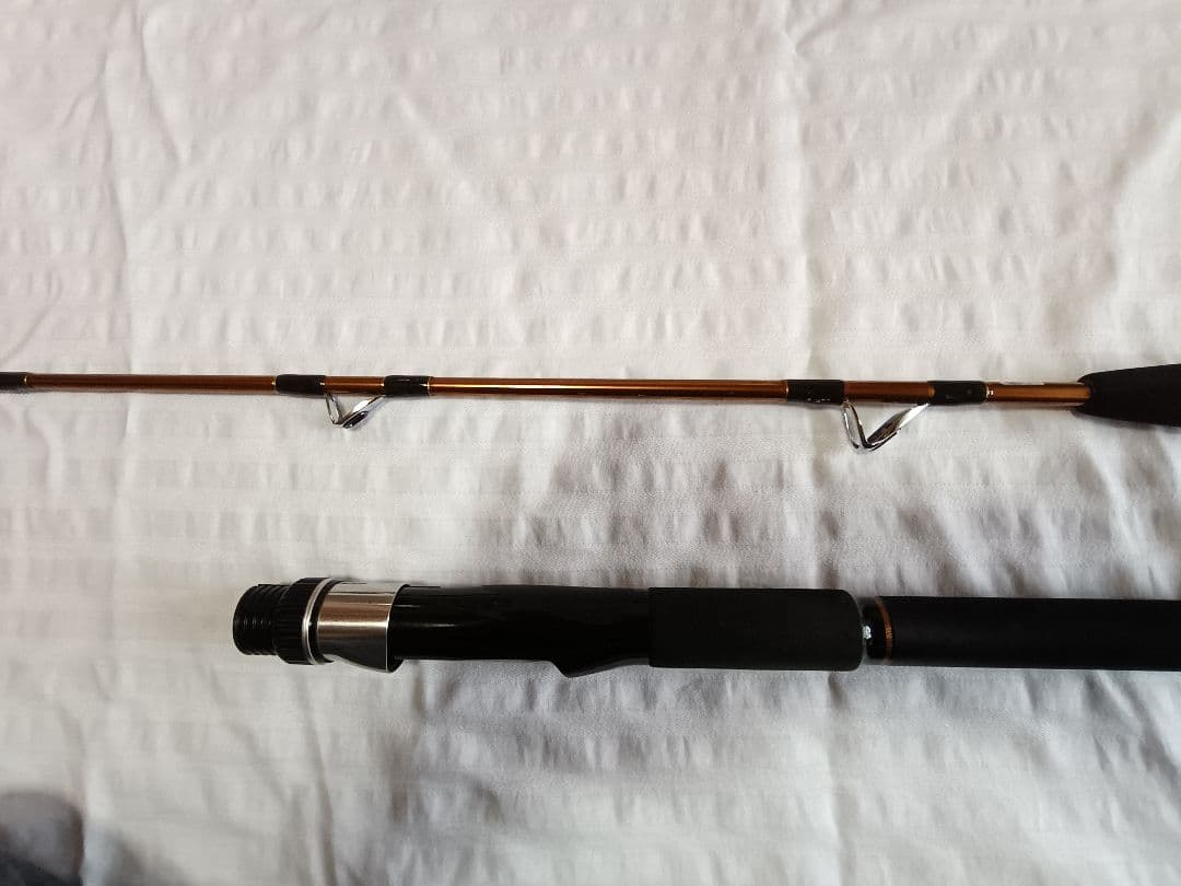 Daiwa LEADING-X SASOI 30-180 リーディングXサソイ