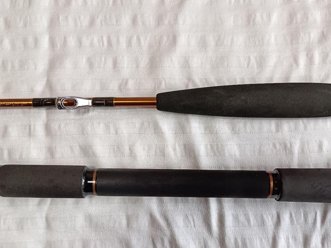 Daiwa LEADING-X SASOI 30-180 リーディングXサソイ