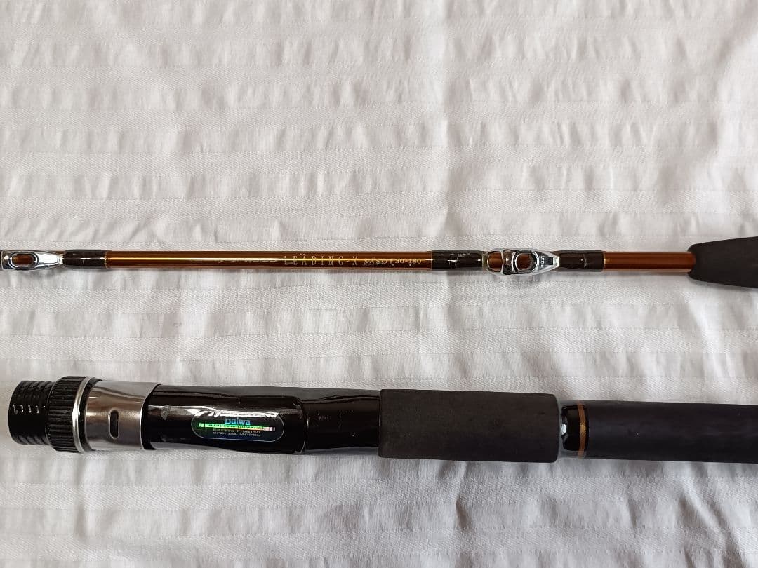 Daiwa LEADING-X SASOI 30-180 リーディングXサソイ