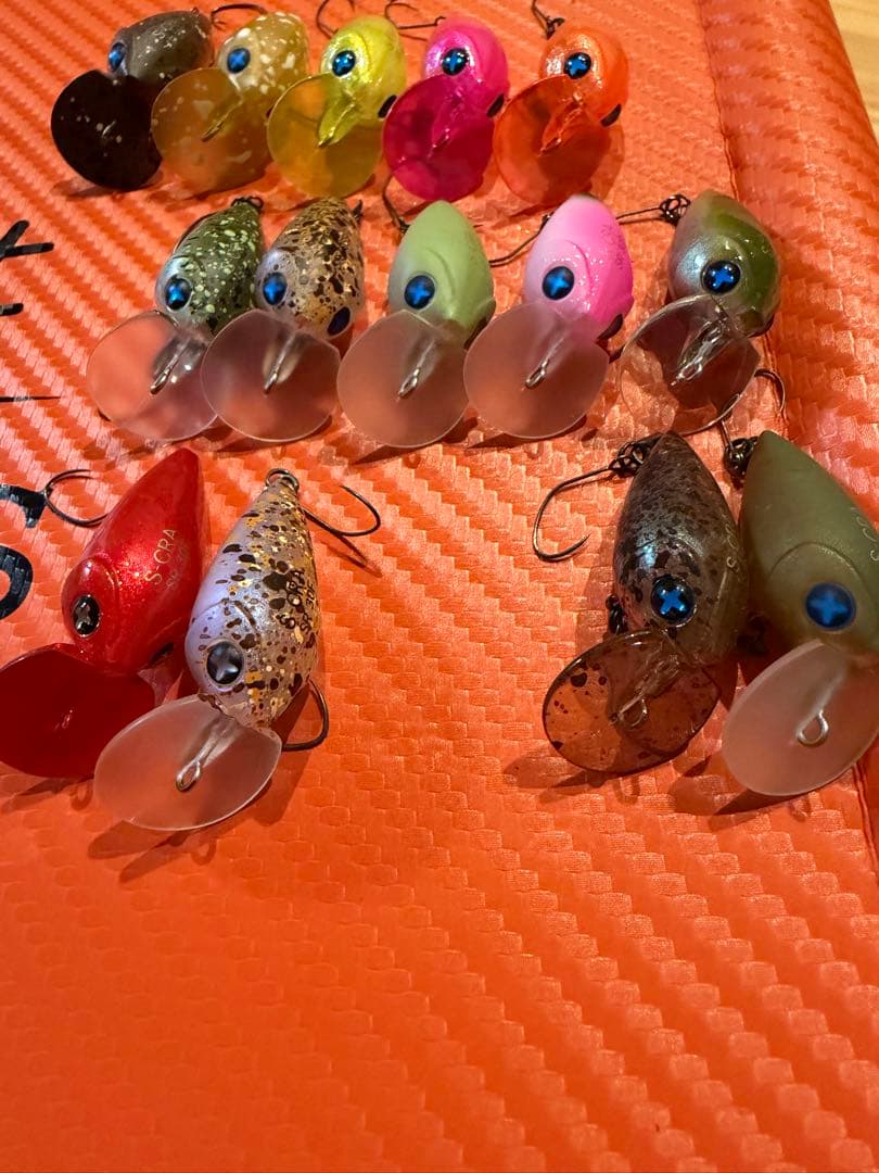 フォレスト Sクラ