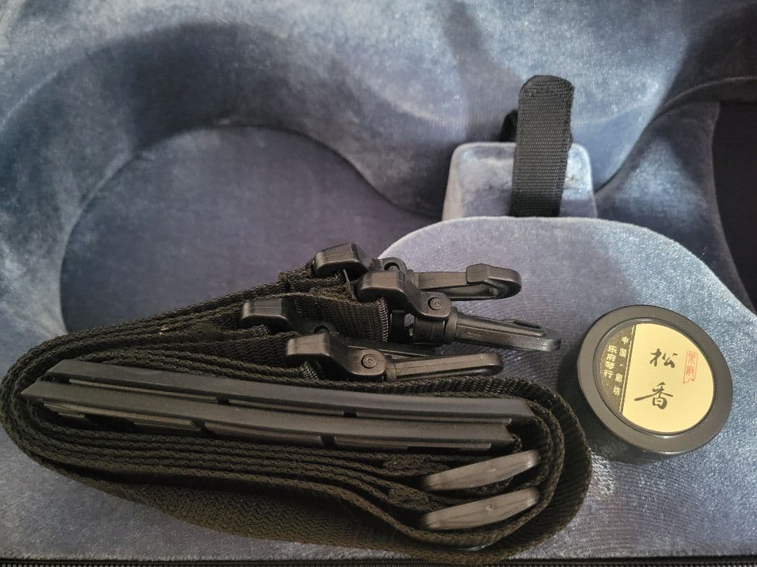 カルロジョルダーノ　ビオラ　ケース付き