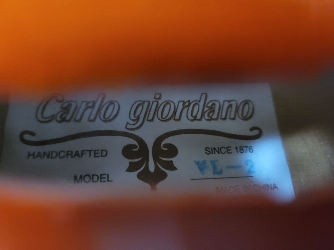 カルロジョルダーノ　ビオラ　ケース付き