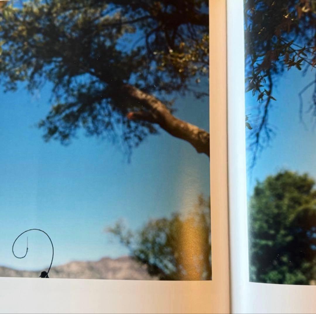 希少 Jean Luc Mylayne ジャン＝リュック・ミレーヌ 野鳥 写真集