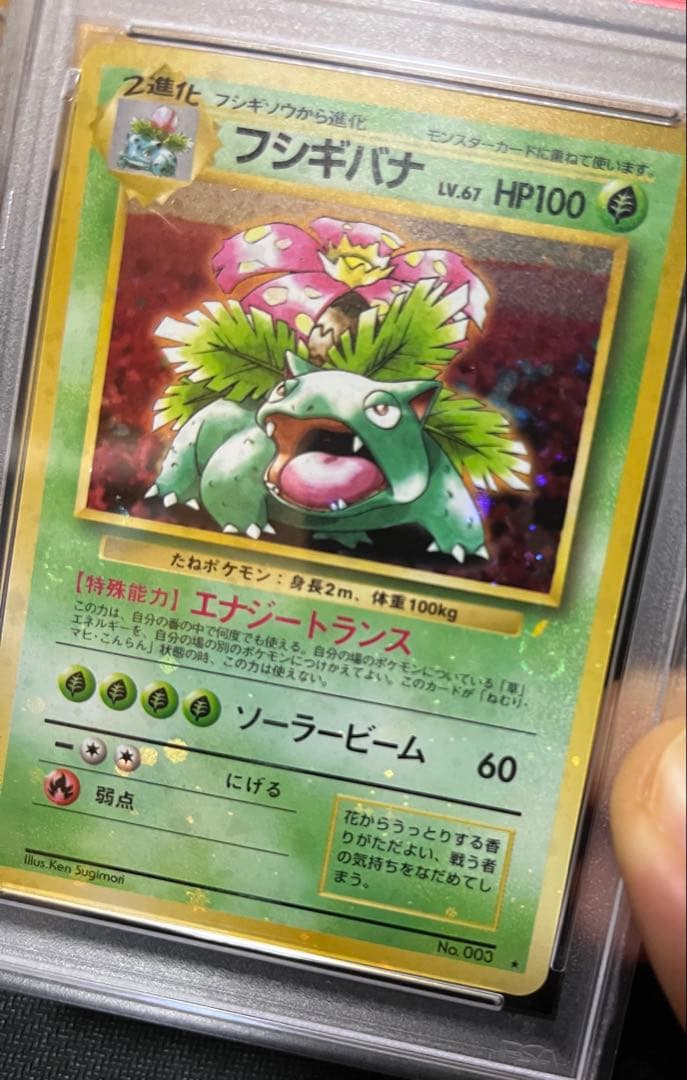 フジギバナ　旧裏　psa10