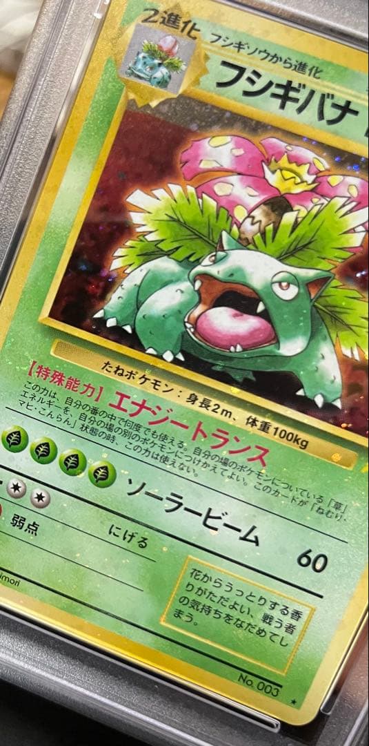 フジギバナ　旧裏　psa10