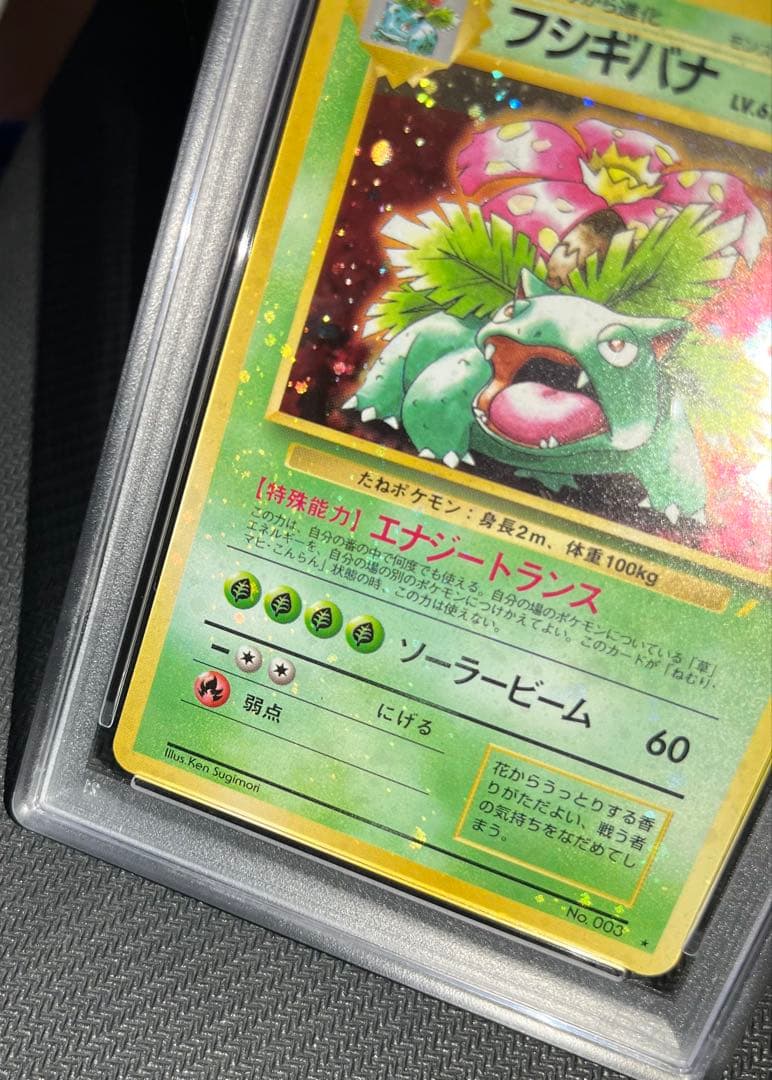 フジギバナ　旧裏　psa10