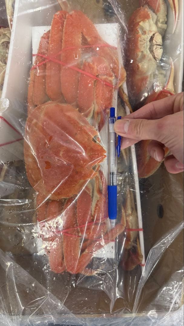 北海道産ボイルオオズワイガニ！特大！ラスト1個！冷凍 3k6匹入り！