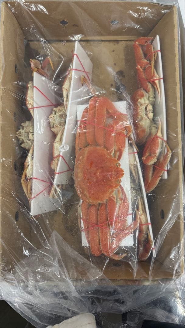 北海道産ボイルオオズワイガニ！特大！ラスト1個！冷凍 3k6匹入り！