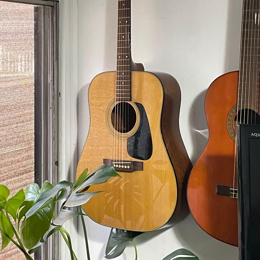 Morris MD~502 モーリス アコースティックギター