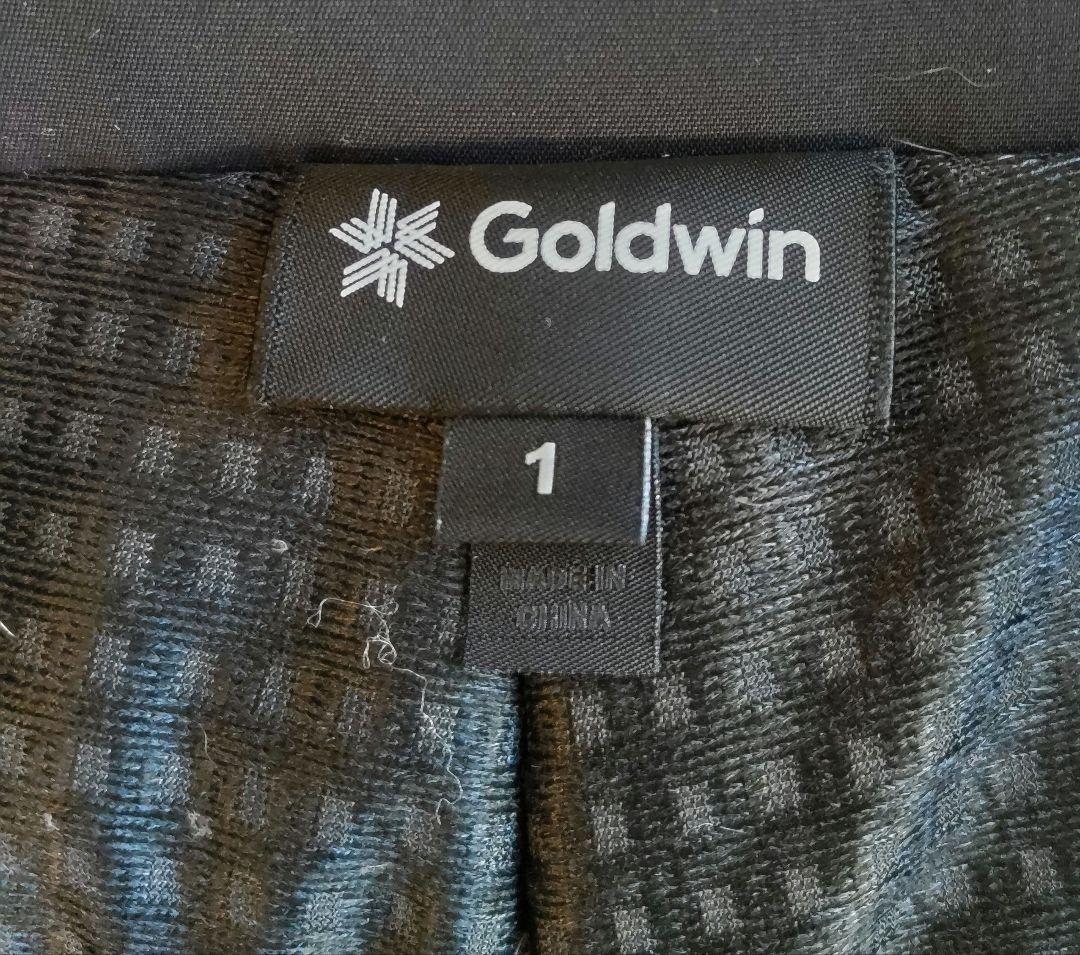 GOLDWINスキーウェア　2024-2025　オピニオンサイズ1