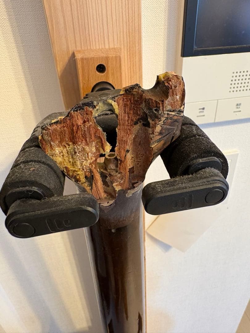 Tokai reborn gold ジャンク LS-80? ジャパンビンテージ